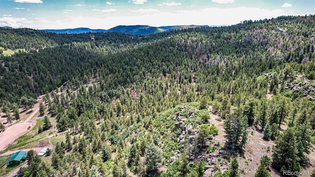 435 Sourwood Ln, Canon City, CO 81212 - aerial view of a forest and mountains