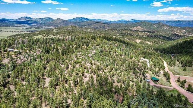 435 Sourwood Ln, Canon City, CO 81212 - drone / aerial view of a mountain backdrop and a forest