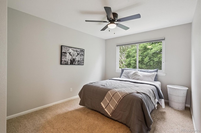 6534 S Union Way, Littleton, CO 80127 - photo 11