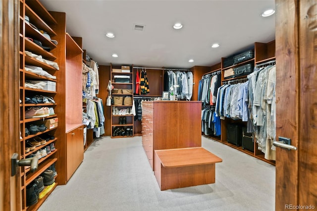 458 Adams St, Denver, CO 80206 - spacious closet with light colored carpet