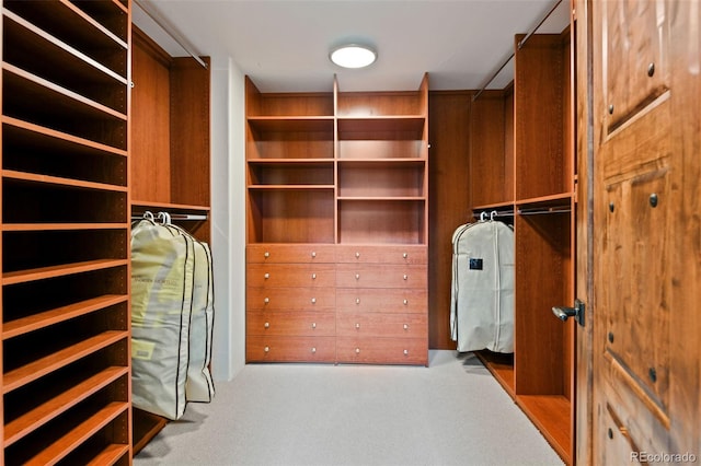 458 Adams St, Denver, CO 80206 - walk in closet with carpet flooring