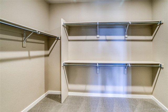 walk in closet with carpet