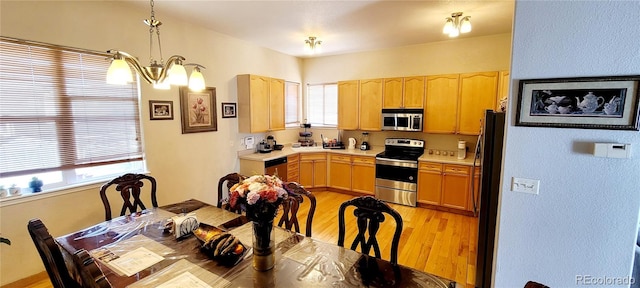 kitchen with decorative light fixtures, stainless steel appliances, light wood-type flooring, and plenty of natural light