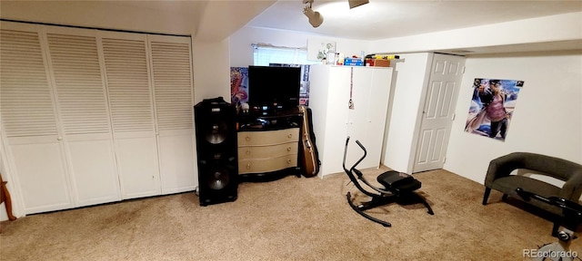 carpeted bedroom with a closet