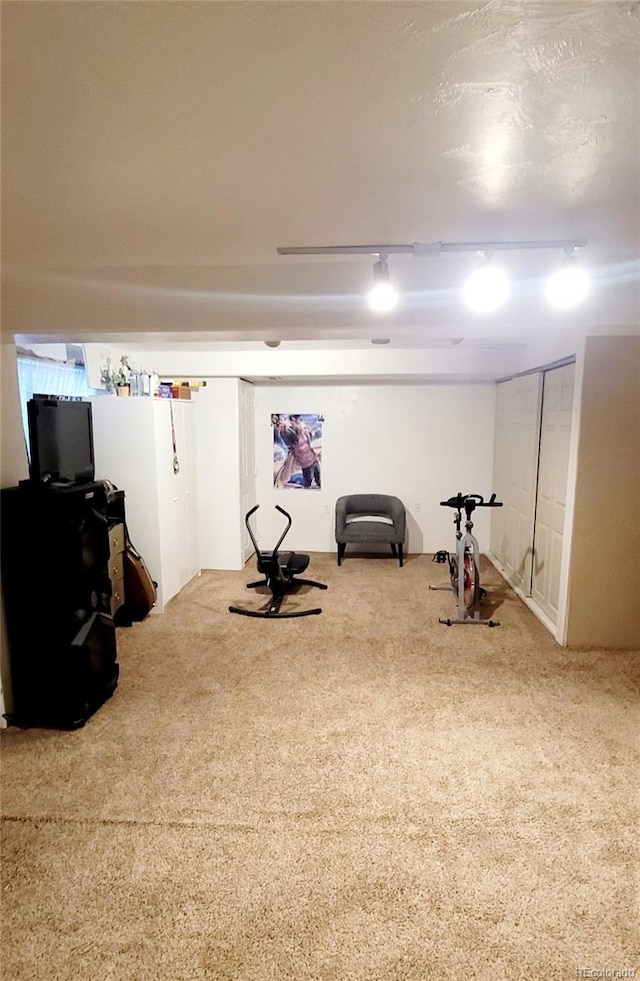 workout room with carpet