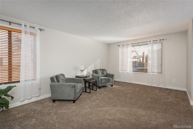 living area with carpet floors and a textured ceiling