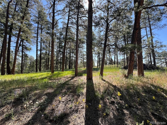 5777 County Road 154, Elizabeth, CO 80107 - photo 12