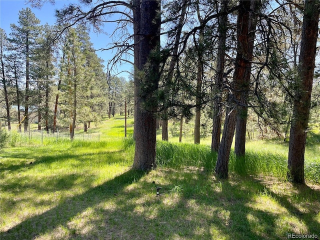 5777 County Road 154, Elizabeth, CO 80107 - photo 14