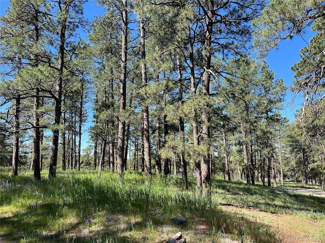 5777 County Road 154, Elizabeth, CO 80107 - photo 16