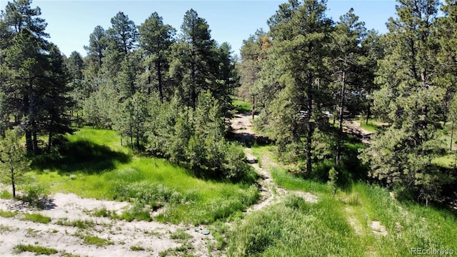 5777 County Road 154, Elizabeth, CO 80107 - photo 42