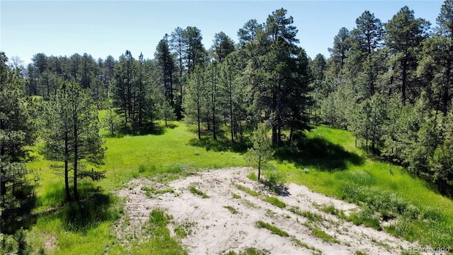 5777 County Road 154, Elizabeth, CO 80107 - photo 43