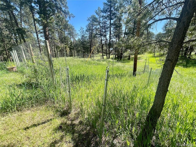 5777 County Road 154, Elizabeth, CO 80107 - photo 47
