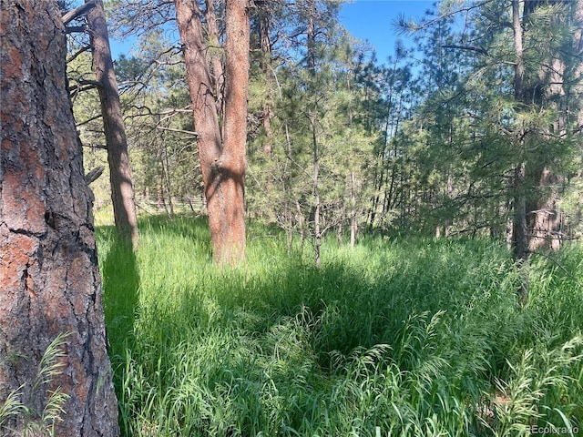 5777 County Road 154, Elizabeth, CO 80107 - photo 48