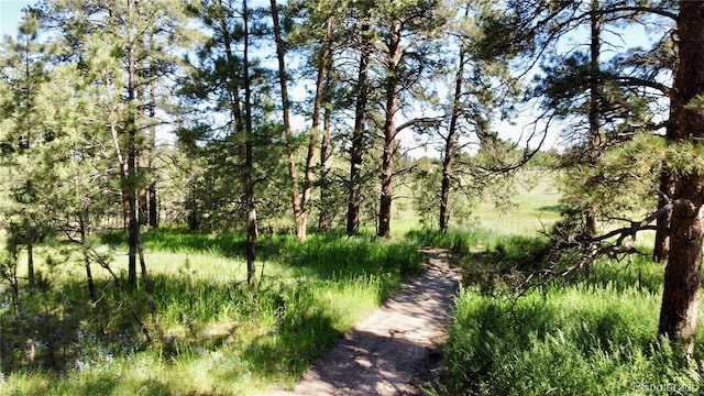 5777 County Road 154, Elizabeth, CO 80107 - photo 50