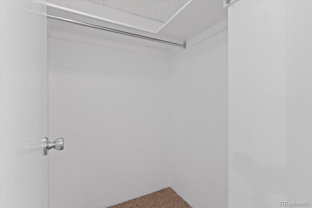 534 E 7th Ave Unit 101, Denver, CO 80203 - spacious closet with carpet flooring
