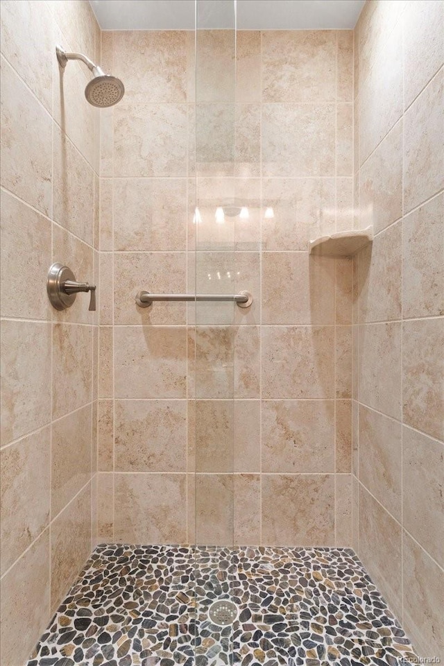 534 E 7th Ave Unit 101, Denver, CO 80203 - full bathroom with tiled shower