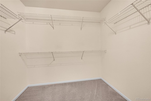 4006 E Geddes Cir, Centennial, CO 80122 - spacious closet featuring carpet