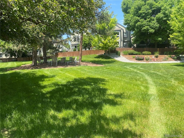 5479 E Weaver Ave, Centennial, CO 80121 - view of yard