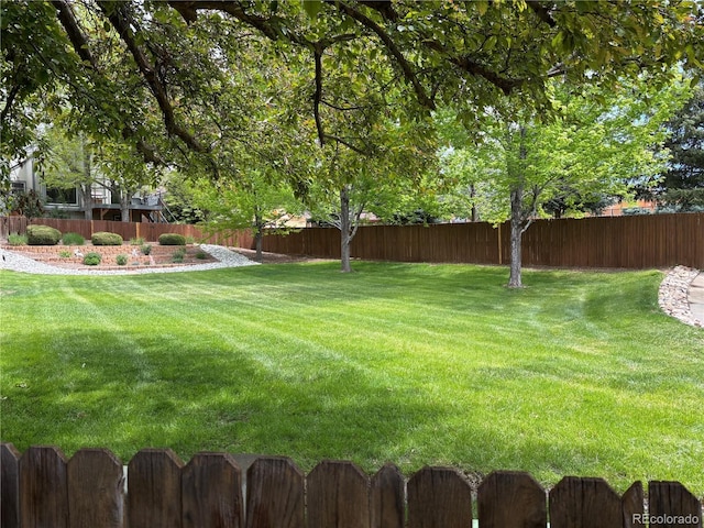5479 E Weaver Ave, Centennial, CO 80121 - view of fenced backyard