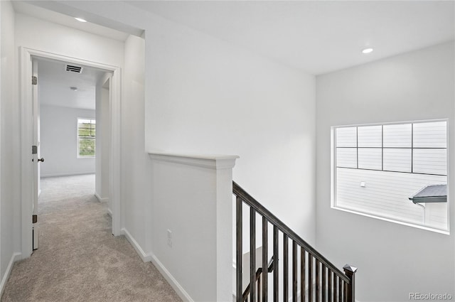 39713 Penn Rd, Elizabeth, CO 80107 - photo 16