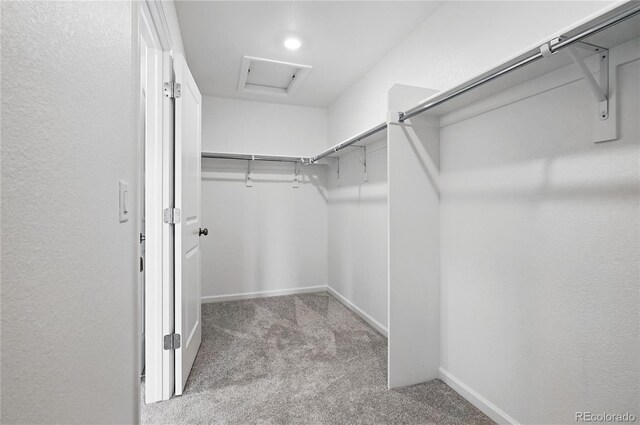 39713 Penn Rd, Elizabeth, CO 80107 - photo 22