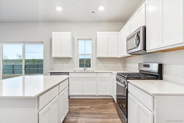 19018 E 94th Pl, Commerce City, CO 80022 - kitchen with appliances with stainless steel finishes, a sink, plenty of natural light, light countertops, and recessed lighting