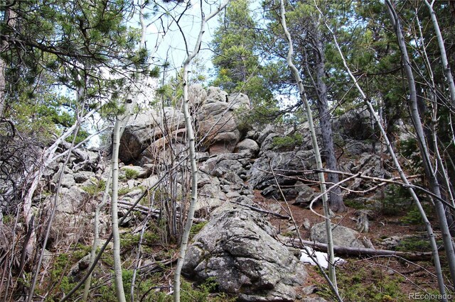 435 Aspen Rd, Black Hawk, CO 80422