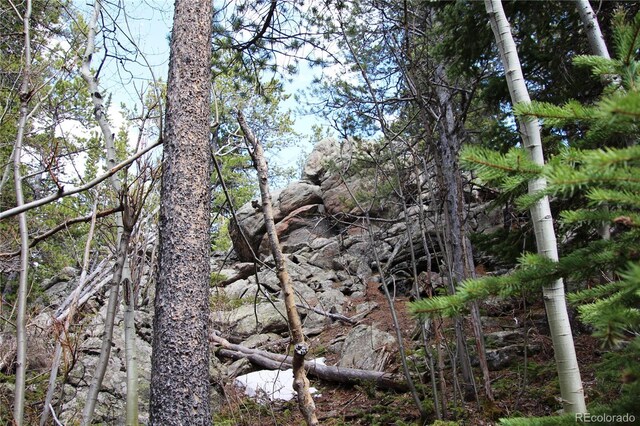 435 Aspen Rd, Black Hawk, CO 80422