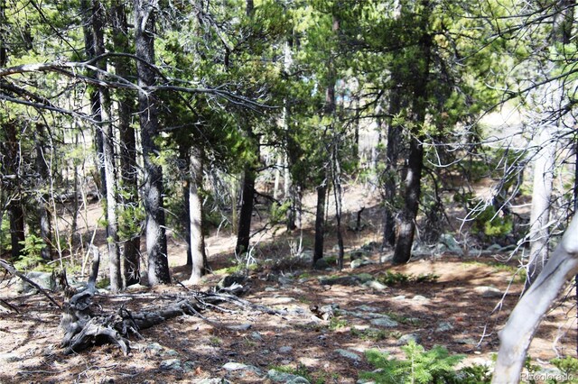 435 Aspen Rd, Black Hawk, CO 80422
