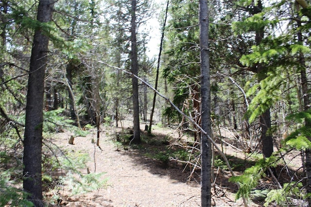 435 Aspen Rd, Black Hawk, CO 80422