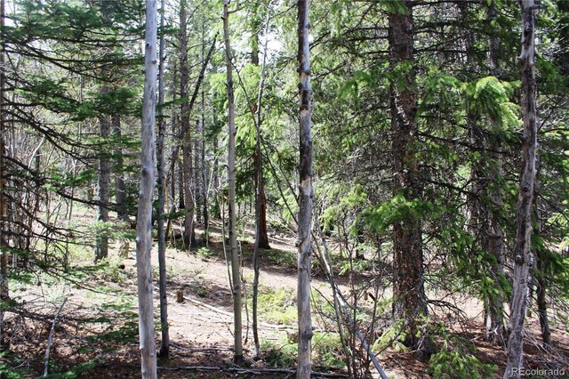 435 Aspen Rd, Black Hawk, CO 80422
