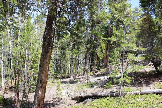 435 Aspen Rd, Black Hawk, CO 80422