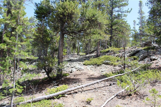435 Aspen Rd, Black Hawk, CO 80422