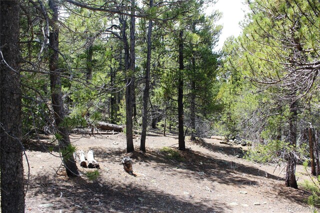 435 Aspen Rd, Black Hawk, CO 80422