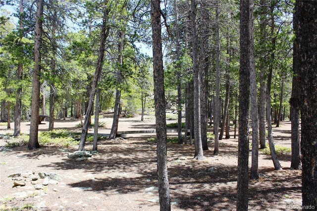 435 Aspen Rd, Black Hawk, CO 80422