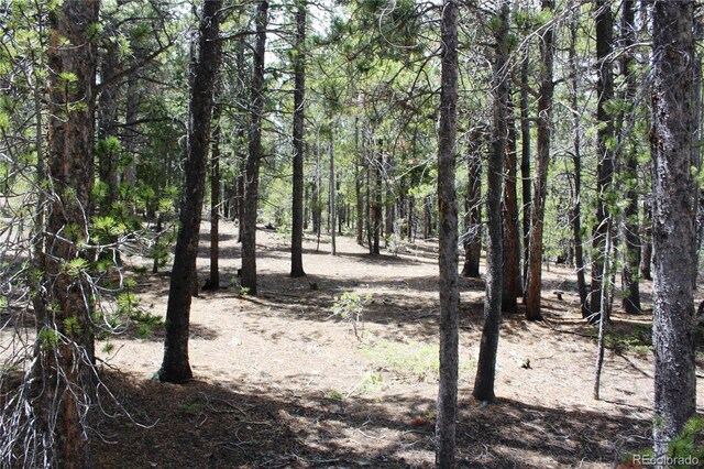 435 Aspen Rd, Black Hawk, CO 80422