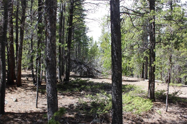 435 Aspen Rd, Black Hawk, CO 80422