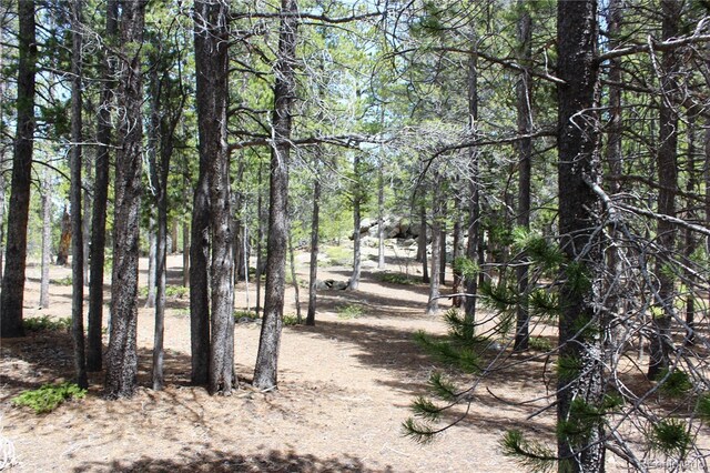 435 Aspen Rd, Black Hawk, CO 80422