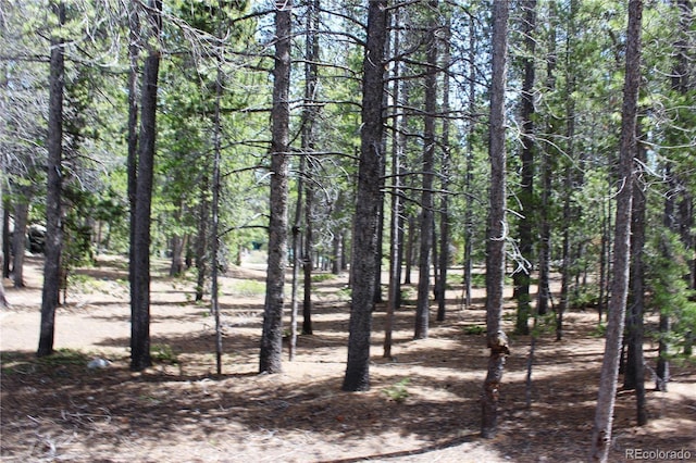 435 Aspen Rd, Black Hawk, CO 80422