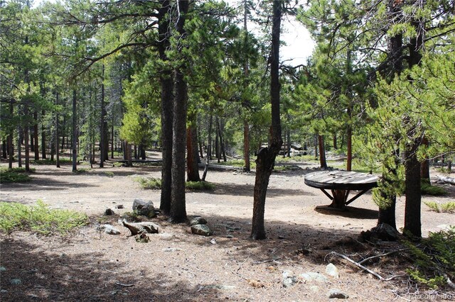 435 Aspen Rd, Black Hawk, CO 80422