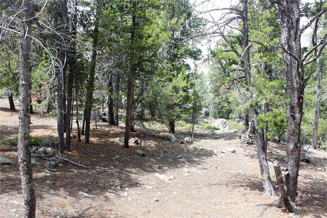 435 Aspen Rd, Black Hawk, CO 80422