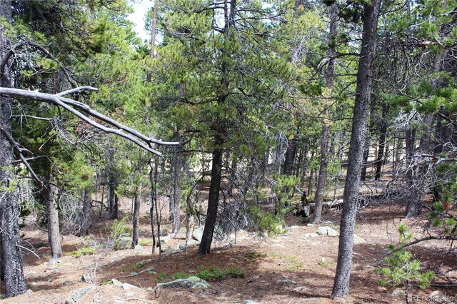 435 Aspen Rd, Black Hawk, CO 80422