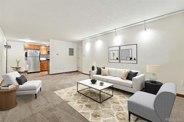 1045 N Clarkson St Unit 102, Denver, CO 80218 - living room with light colored carpet, electric panel, and a textured ceiling