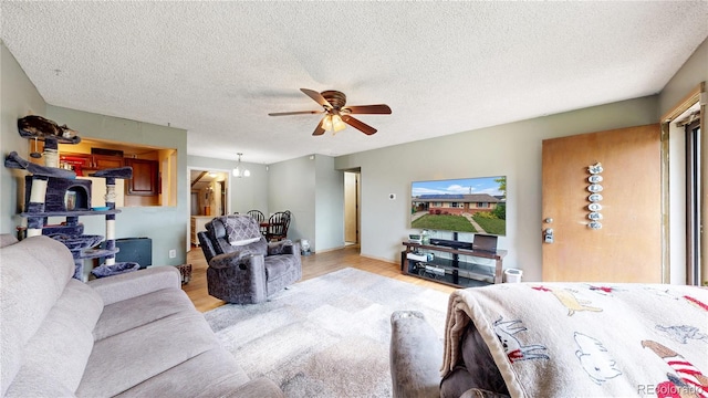 41 S Fenton St, Lakewood, CO 80226 - living room featuring light wood finished floors, a ceiling fan, and a textured ceiling