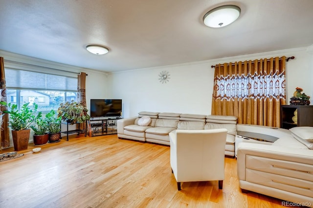 living room featuring wood finished floors and crown molding