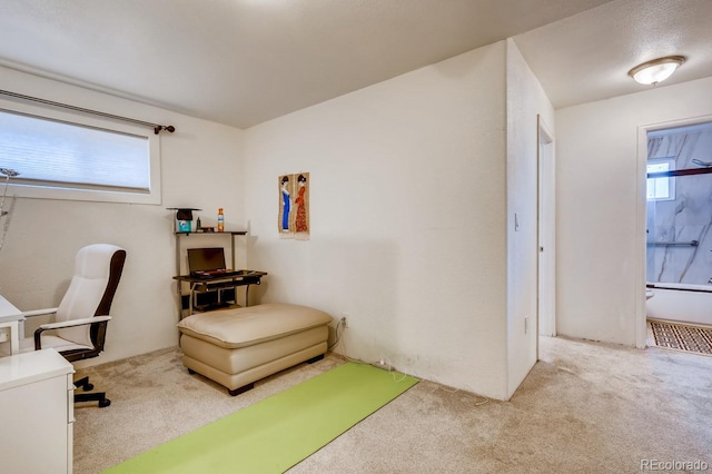 view of carpeted office space