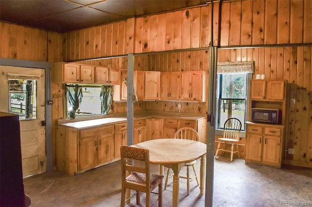 kitchen with wooden walls