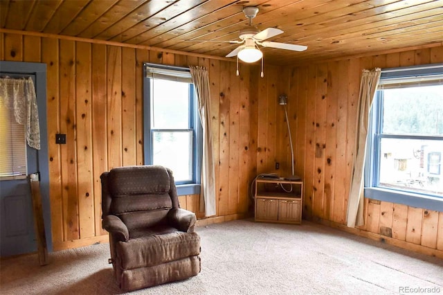 sitting room featuring carpet floors, wooden ceiling, and wooden walls