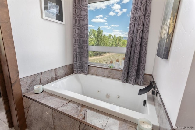 16985 County Road 306, Buena Vista, CO 81211 - full bathroom featuring a tub with jets