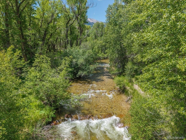16985 County Road 306, Buena Vista, CO 81211 - view of woods